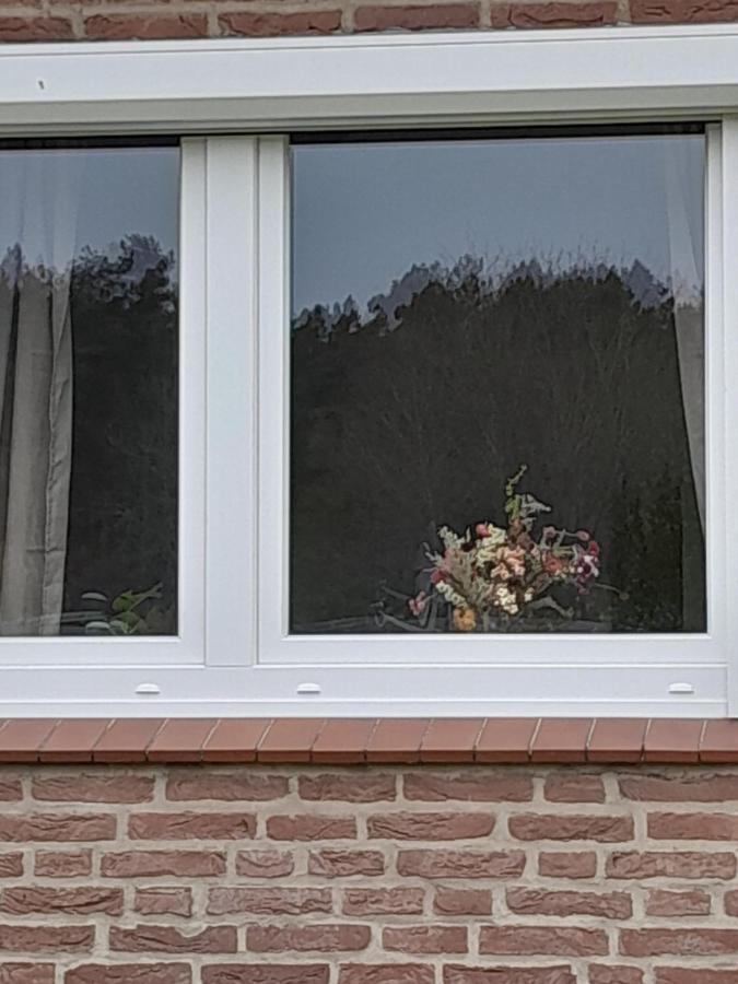 Tannenquartier - Ihr Ferienhaeuschen Apartment Gross Gronau Luaran gambar